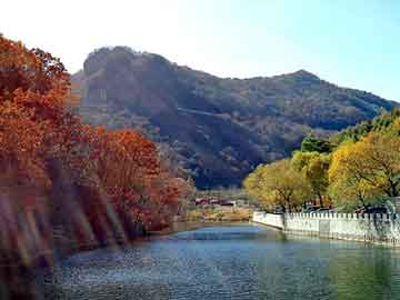 欧美日韩在线视频八区，北京鸡